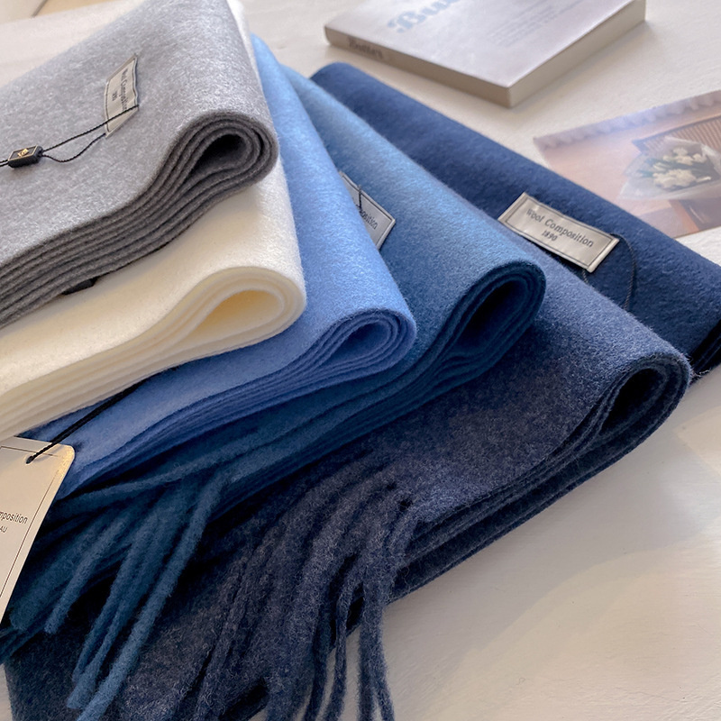 2024 여성용 겨울 양모 스카프 긴 따뜻한 캐시미어  - Cashmere Pashmina Wrap 리뷰 및 가격